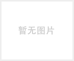 LED路轨灯,轨道灯，CY-T01/12W黑色款